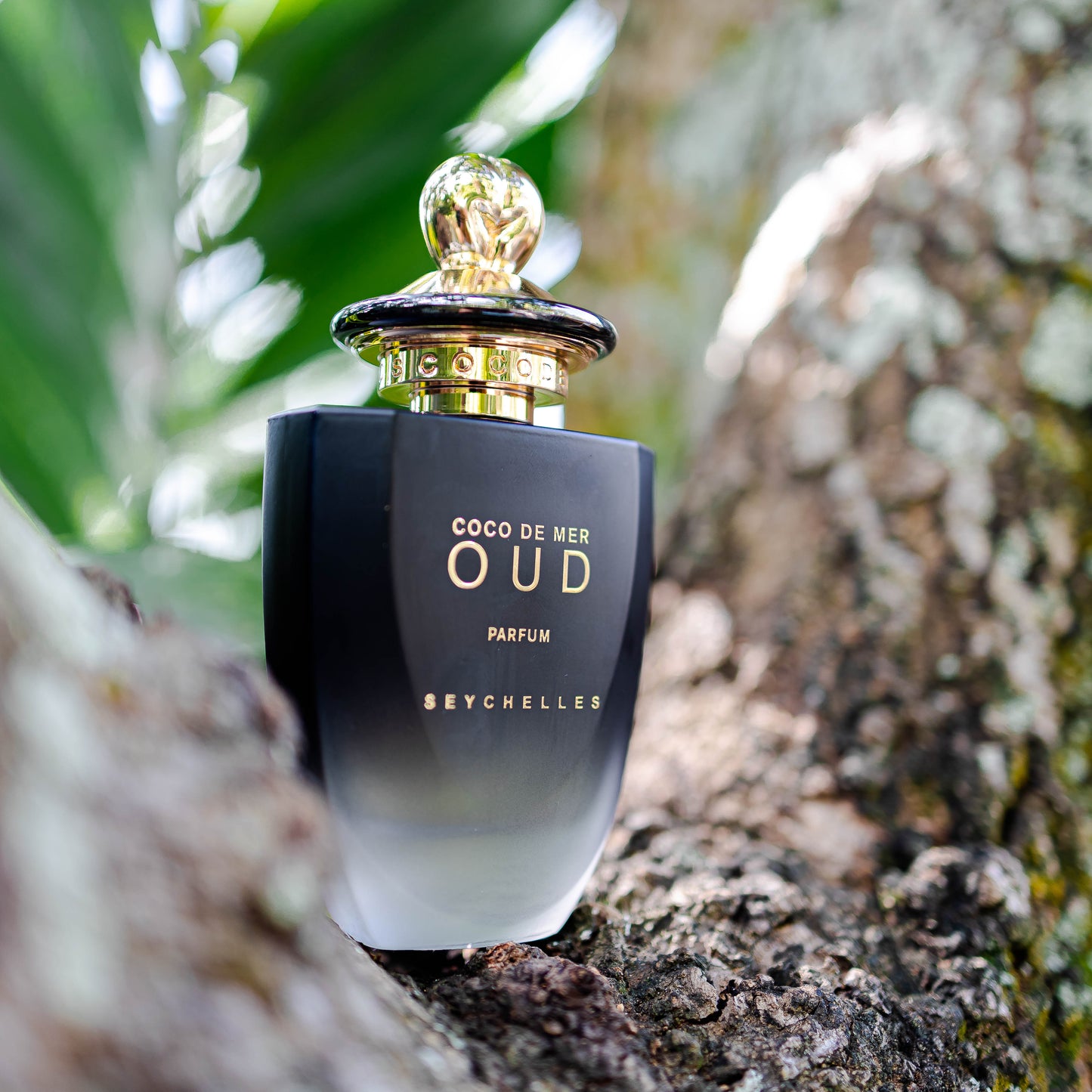 OUD Enigmatic · Smoldering · Sacred 75 mL.