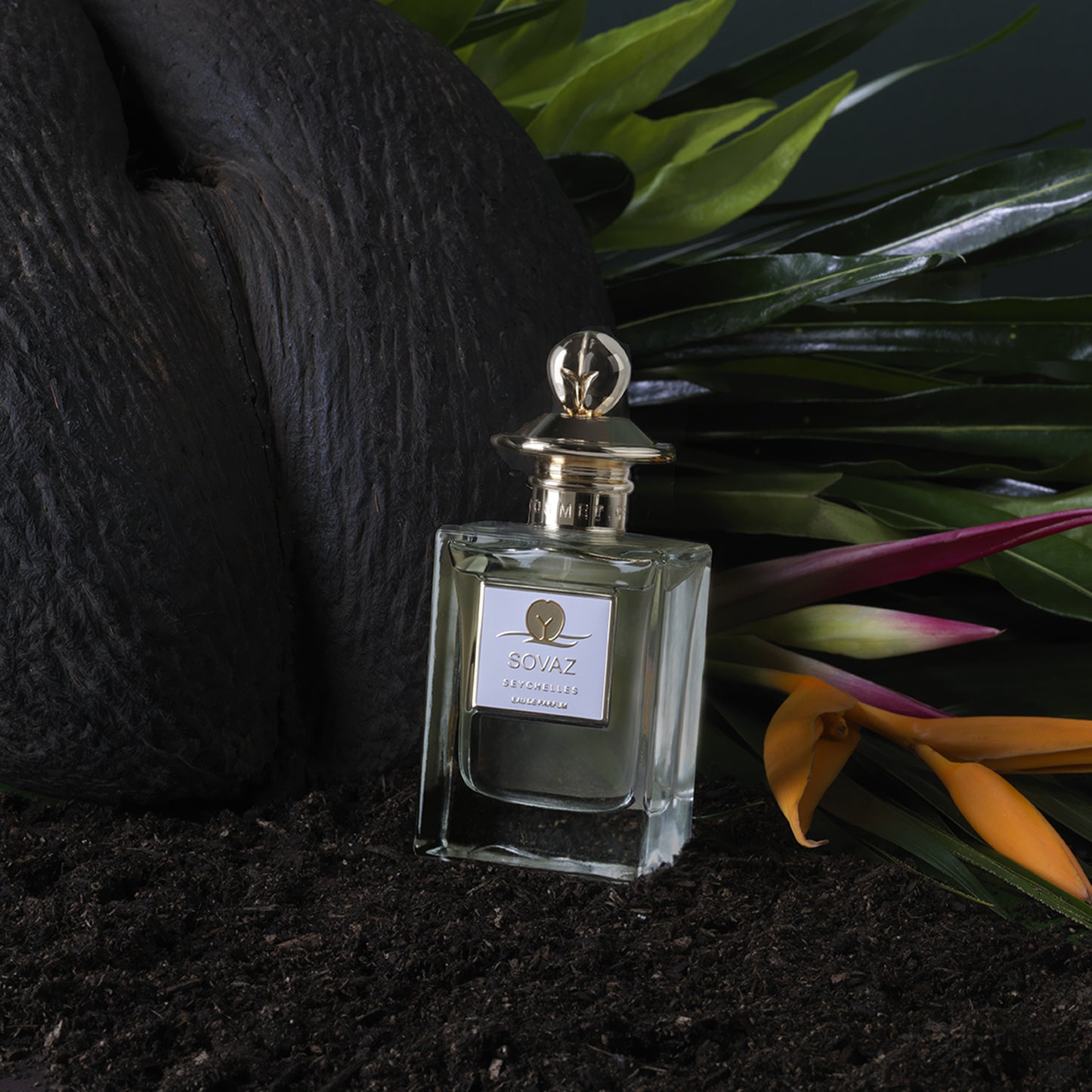 SOVAZ Provocative · Fresh · Unruly. 50mL